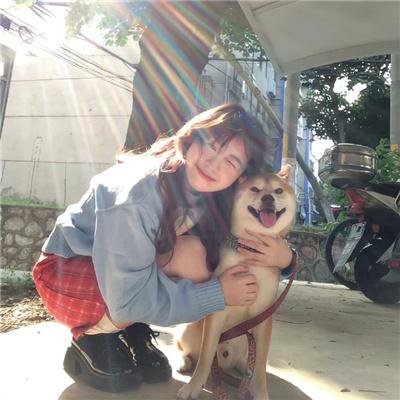左轮百合
